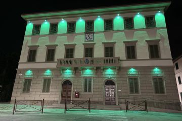 Sfoglia la galleria